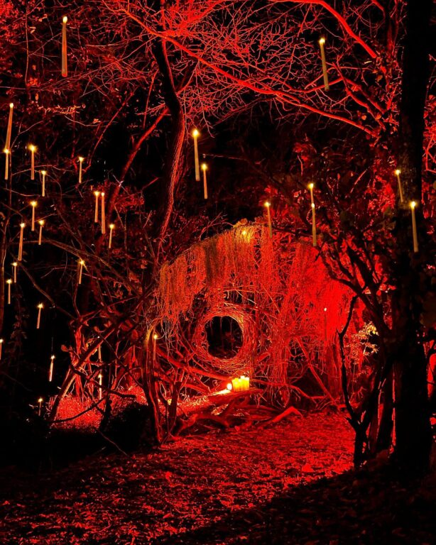 Venture into the Dark Forest this fall at Powell Gardens