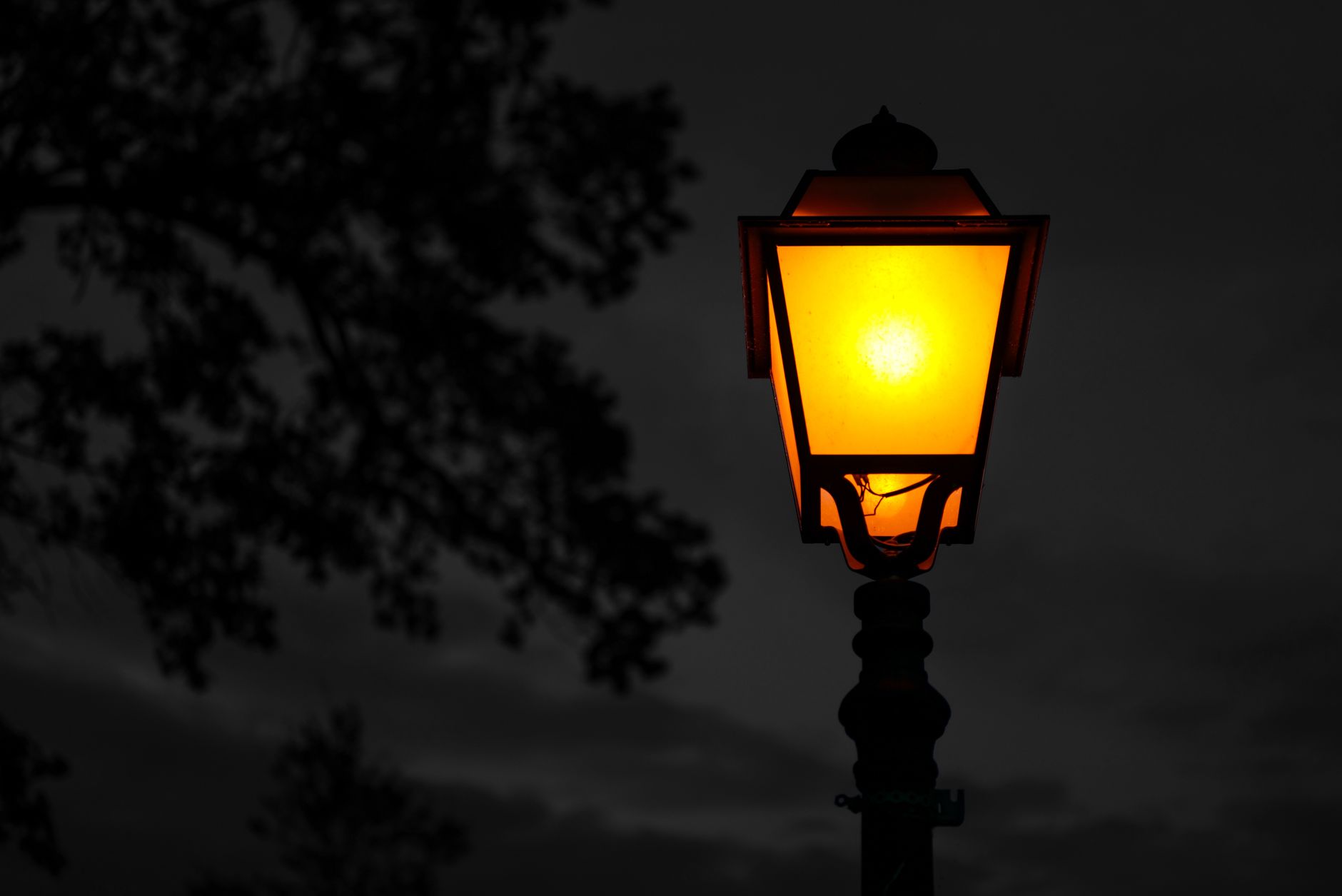 The Midnight Lantern Foundation serves as a beacon of hope for young horror fans